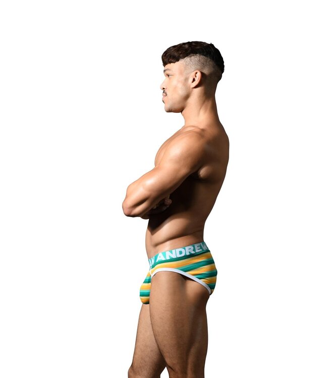 Andrew Christian Riviera Stripe Brief w/ ALMOST NAKED®