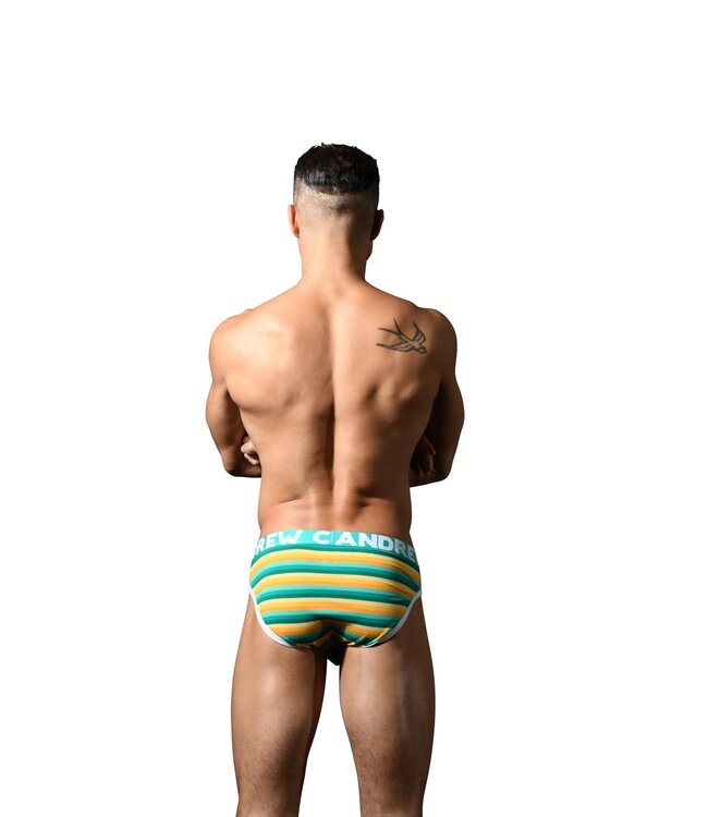 Andrew Christian Riviera Stripe Brief w/ ALMOST NAKED®