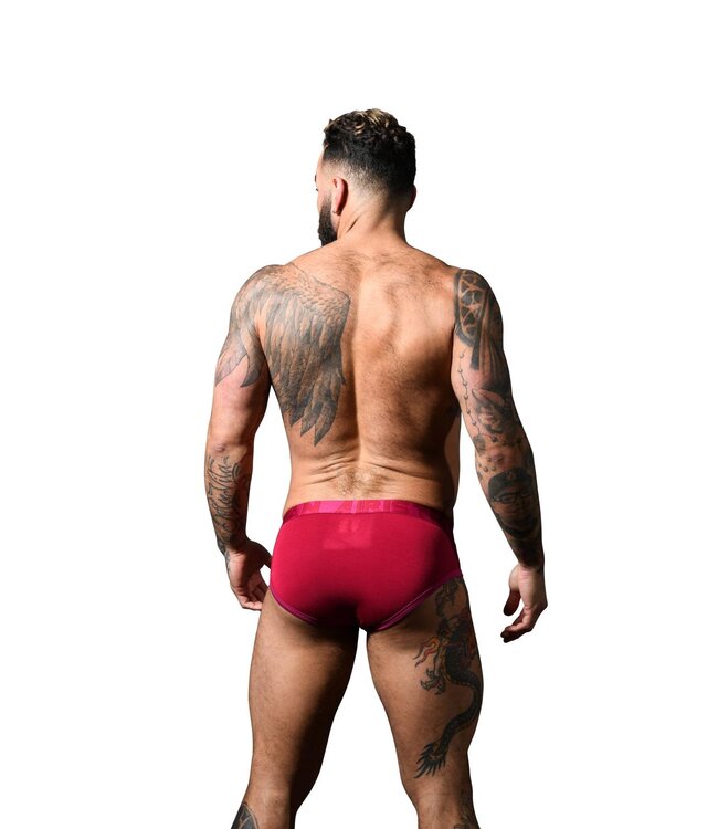 Andrew Christian CoolFlex Modal Brief w/ SHOW-IT® Burgundy