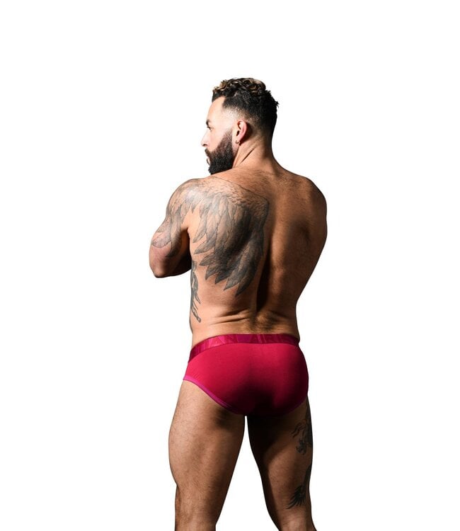 Andrew Christian CoolFlex Modal Brief w/ SHOW-IT® Burgundy