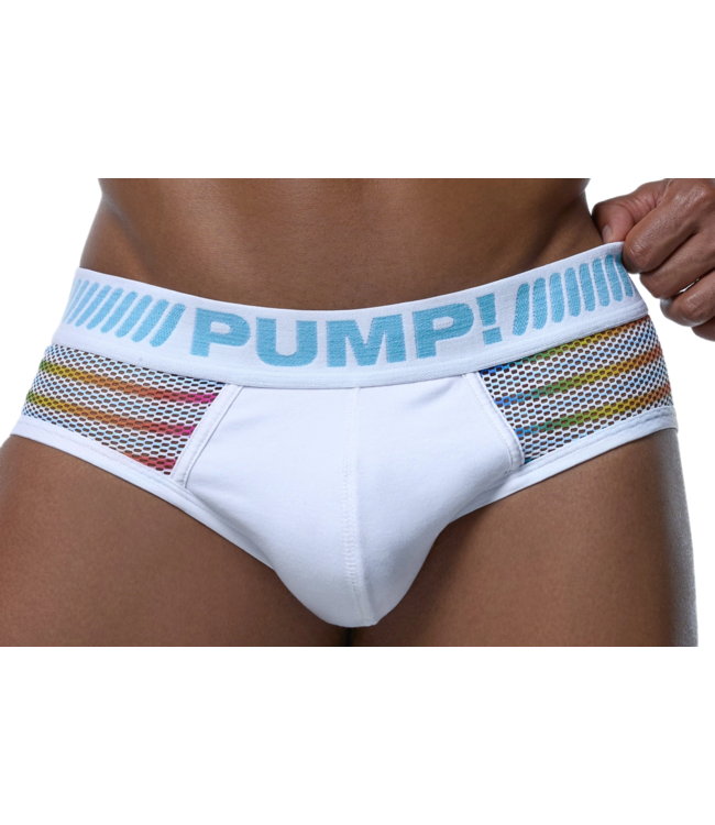 PUMP Prism Brief