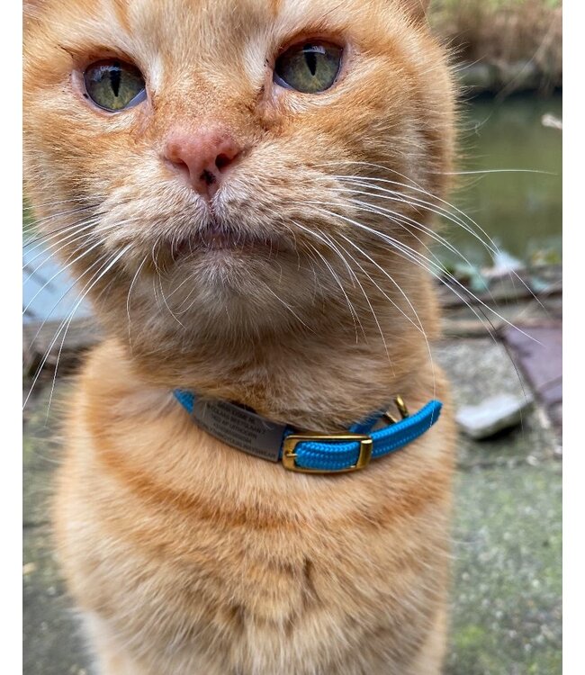 Id's me plaatje Mini voor kattenriem SOS-Pet Tag