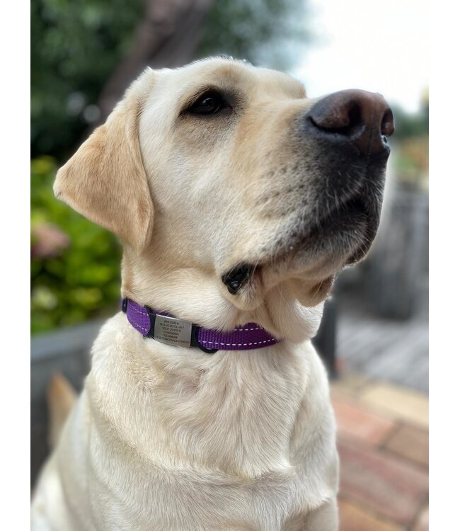 Id's me WatchID Maxi Zwart SOS Pet Tag