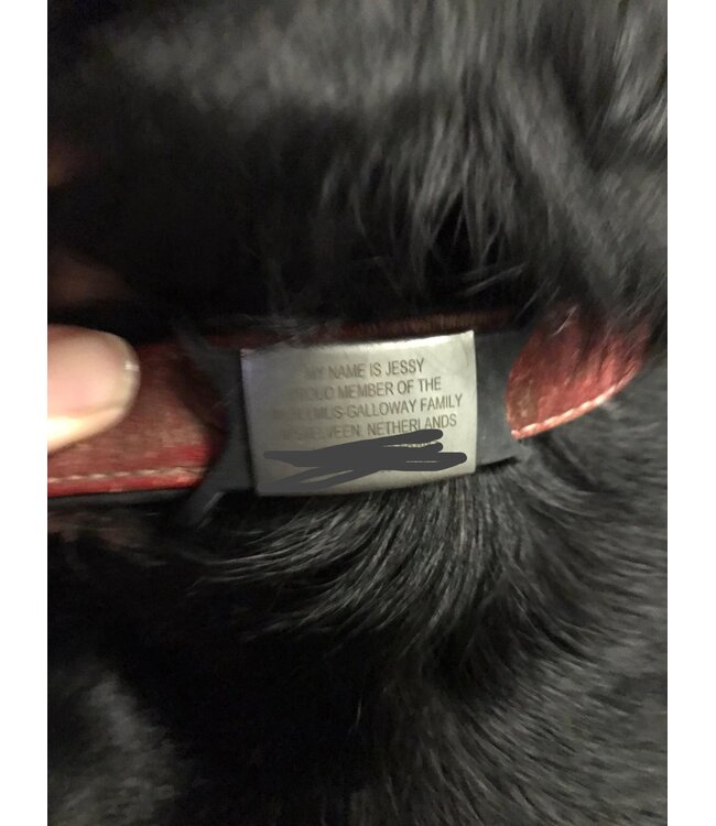 Id's me WatchID Maxi Zwart SOS Pet Tag