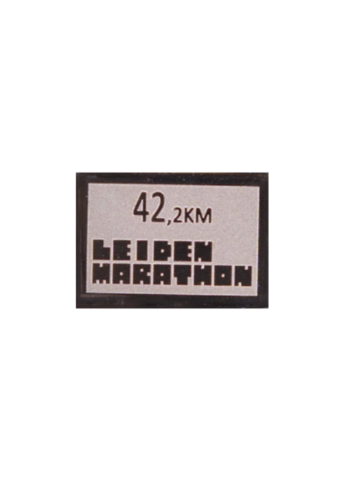 Leiden Marathon MINI - 42km