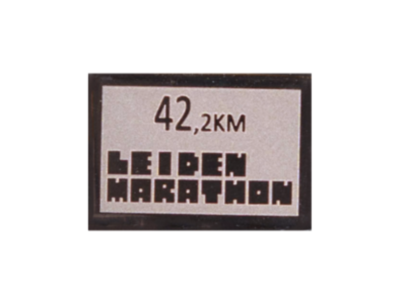 RaceID MINI Leiden Marathon - 42km