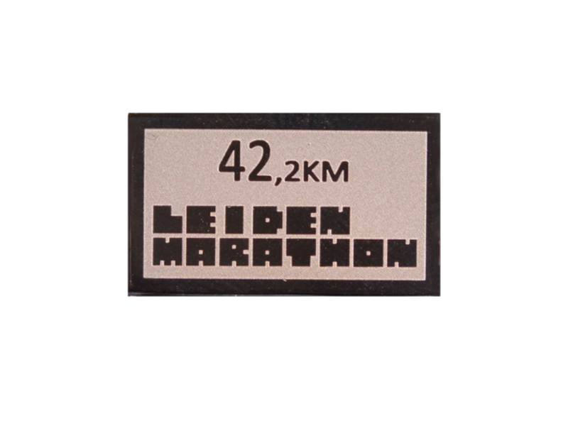 RaceID MAXI Leiden Marathon - 42km
