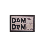 RaceID MINI Dam tot Damloop By Night