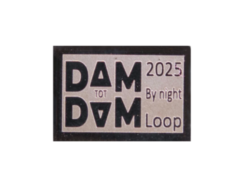 RaceID MINI Dam tot Damloop By Night