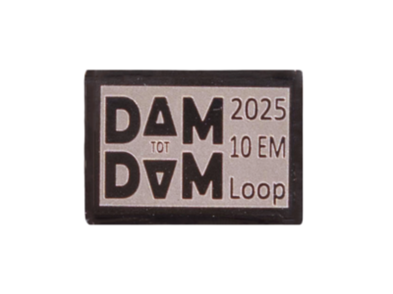 RaceID MINI Dam tot Damloop 10EM