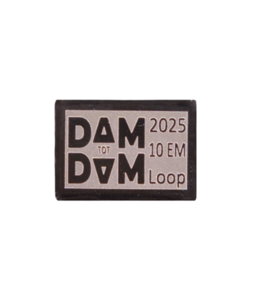 Dam tot Damloop 10EM - MINI