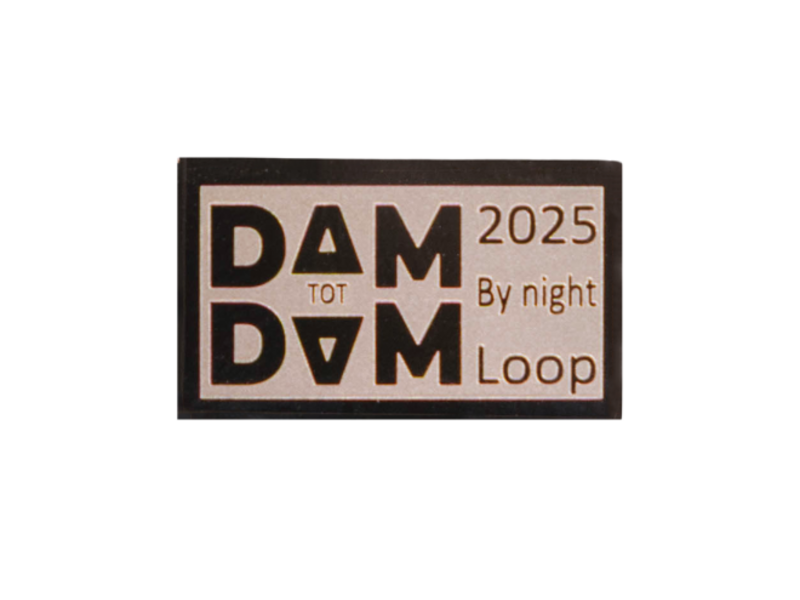 RaceID MAXI Dam tot Damloop By Night