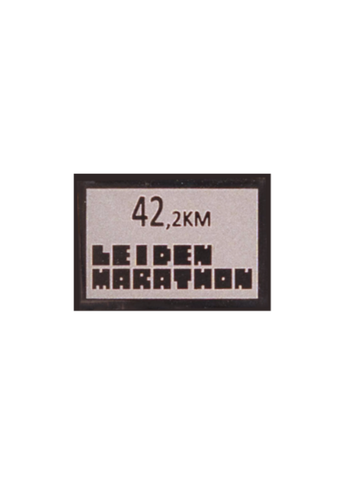 Leiden Marathon MINI - 42km