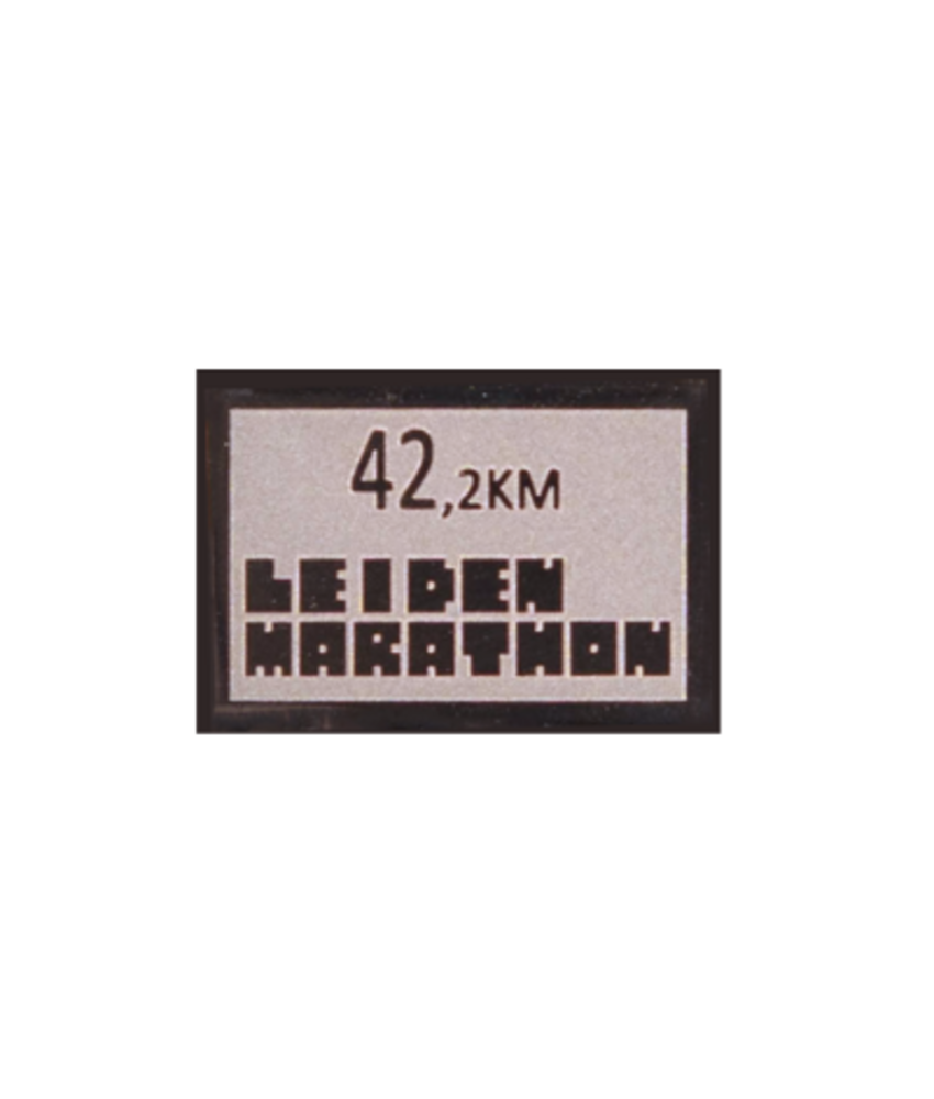 Leiden Marathon MINI - 42km