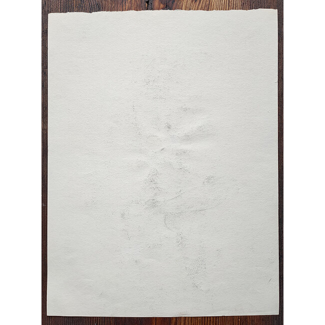 Hartog Mira den (1977) - Tekening - vrouwelijk naakt op stoel - Pastelkrijt