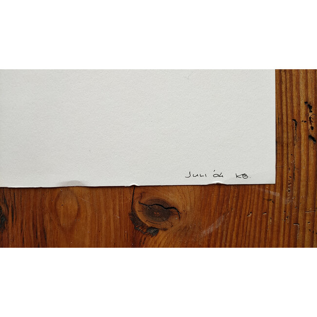 Buizer Krijn - Tekening - abstract - 0027