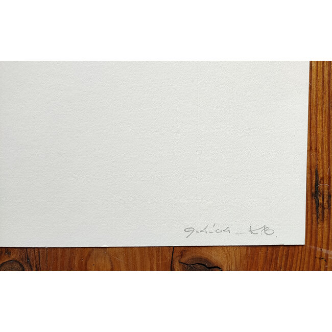 Buizer Krijn - Tekening - abstract - 0059