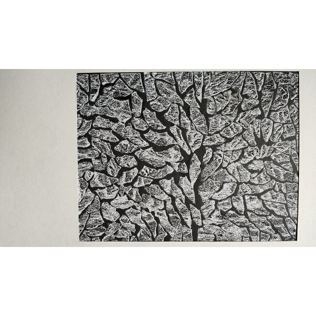 Buizer Krijn - Tekening - 0082