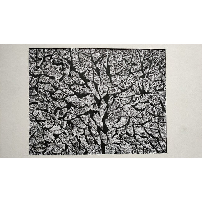 Buizer Krijn - Tekening - 0082