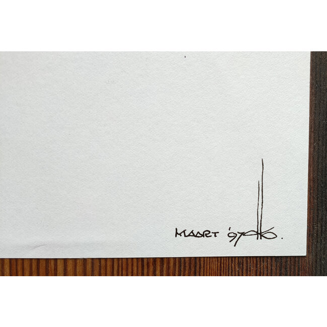 Buizer Krijn - Tekening - abstract - 0101