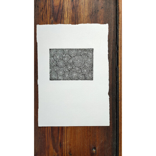 Buizer Krijn - Ets - abstract - 0129