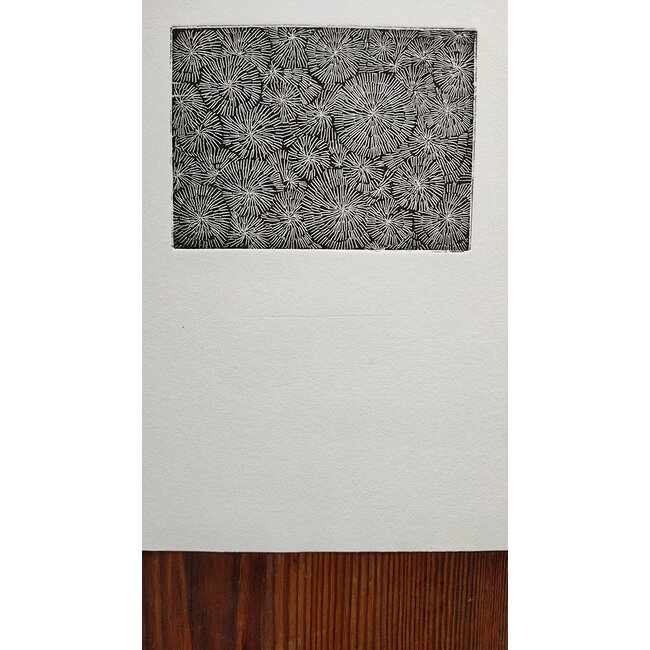 Buizer Krijn - Ets - abstract - 0129