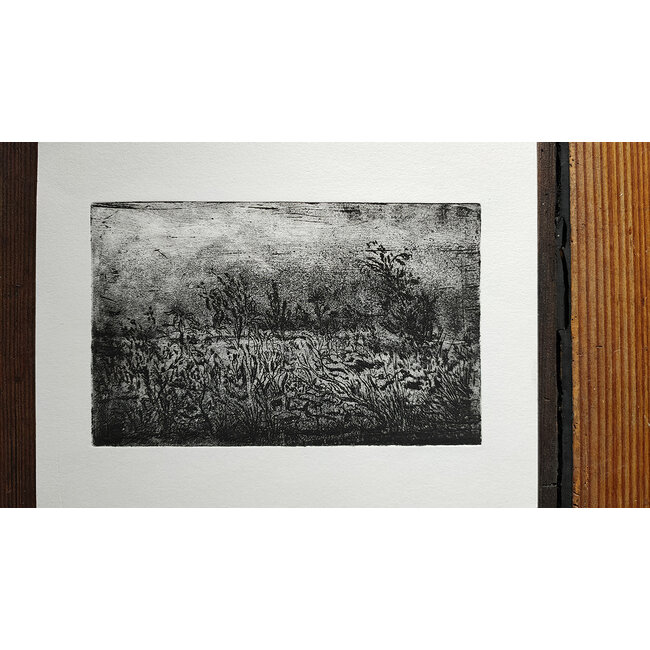 Buizer Krijn - Ets - Landschap - 0137