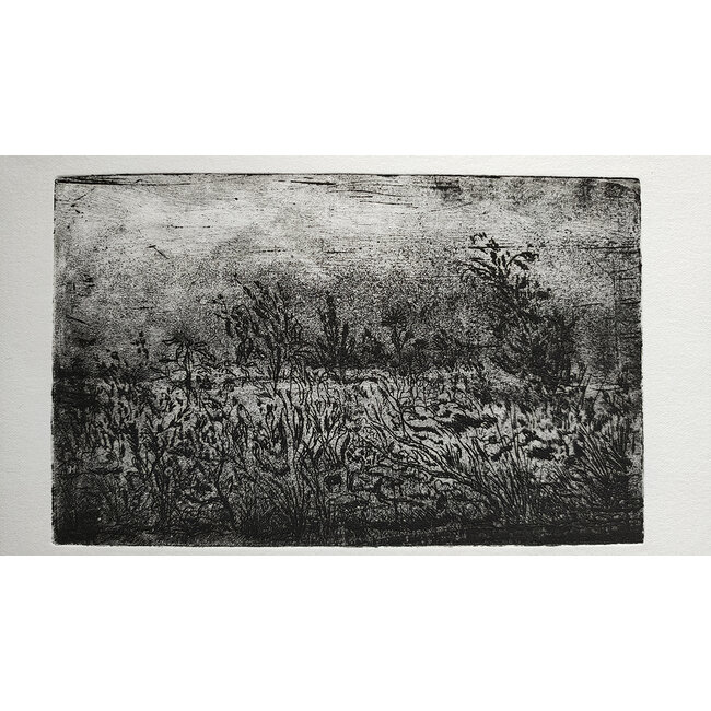 Buizer Krijn - Ets - Landschap - 0137