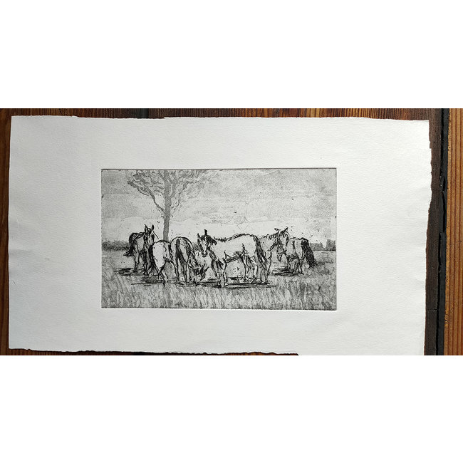 Buizer Krijn - Ets - Paarden in een veld bij een boom - 0142