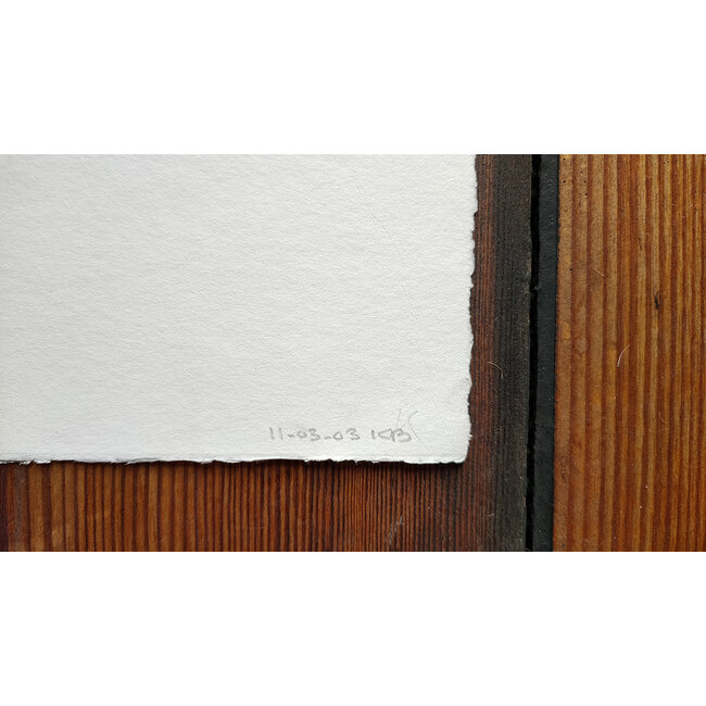 Buizer Krijn - Ets - Cijfers "2" - 0146