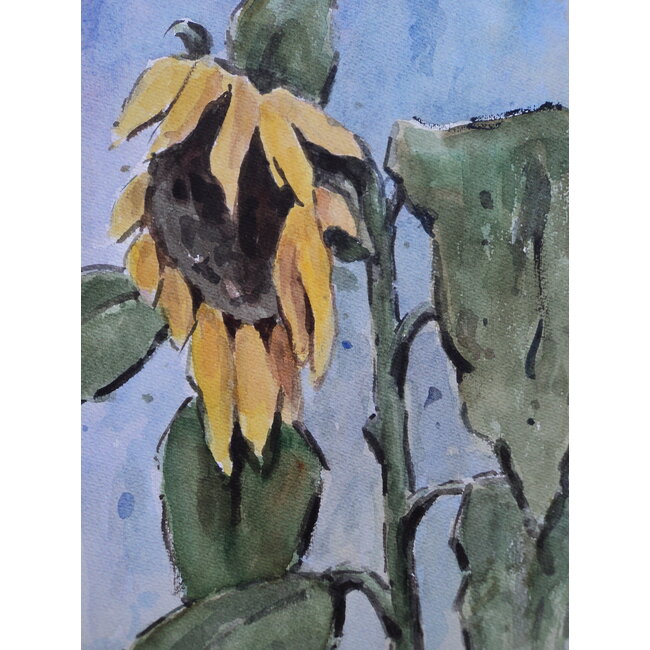 Bezemer Clement Aquarel Zonnebloemen