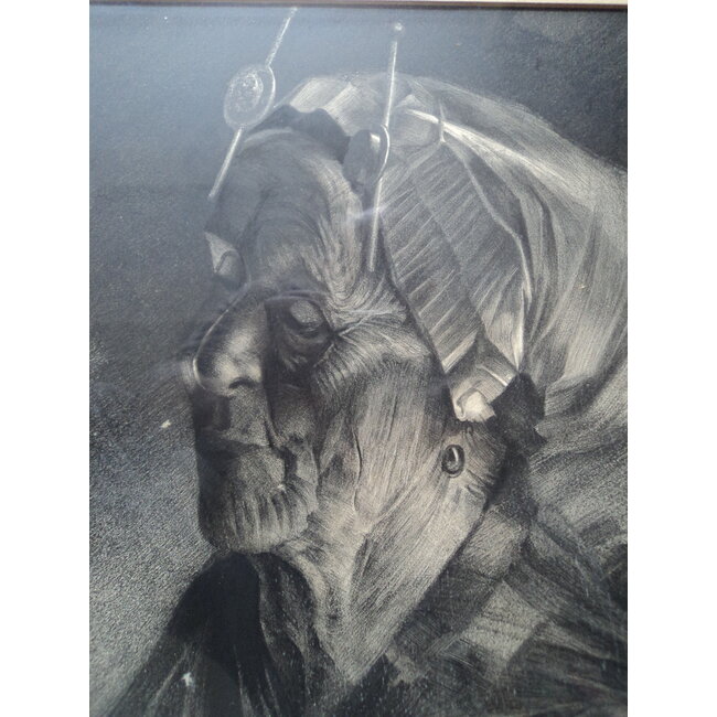 Gestel Dimmen 1881-1941 - Ets - portret vrouw in klederdracht