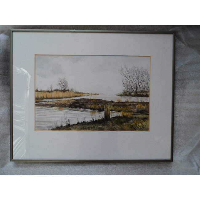 Kuijk Evert - Aquarel - Biesbosch