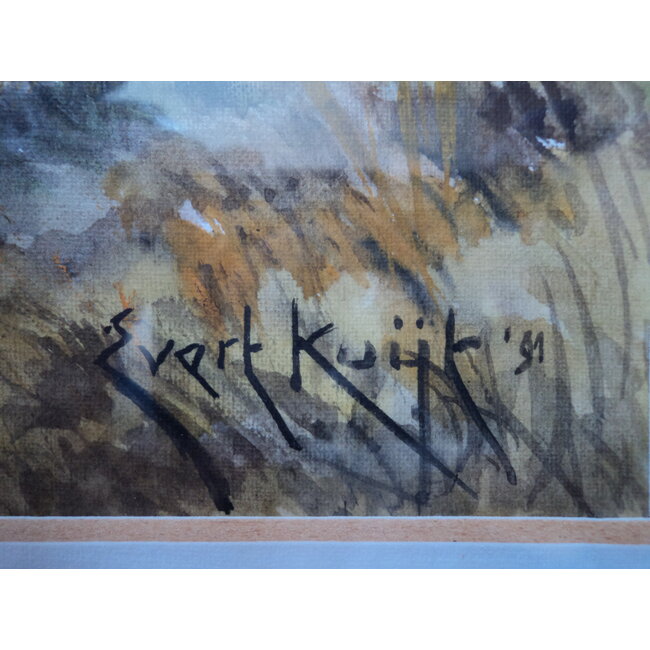 Kuijk Evert - Aquarel - Biesbosch