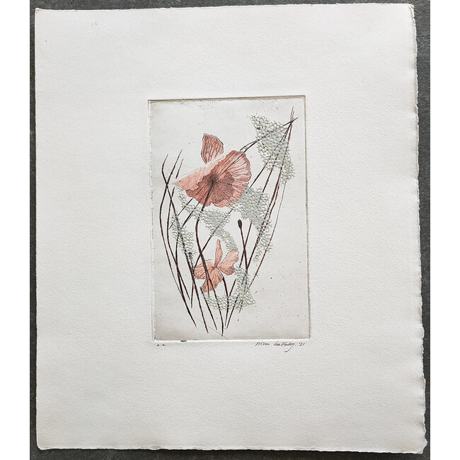 Hartog Mira den (1977) - Ets - Klaproos