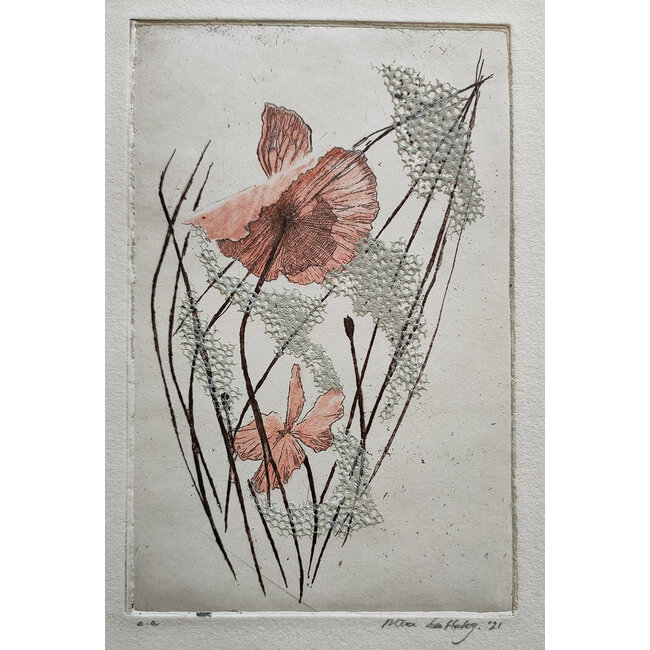 Hartog Mira den (1977) - Ets - Klaproos