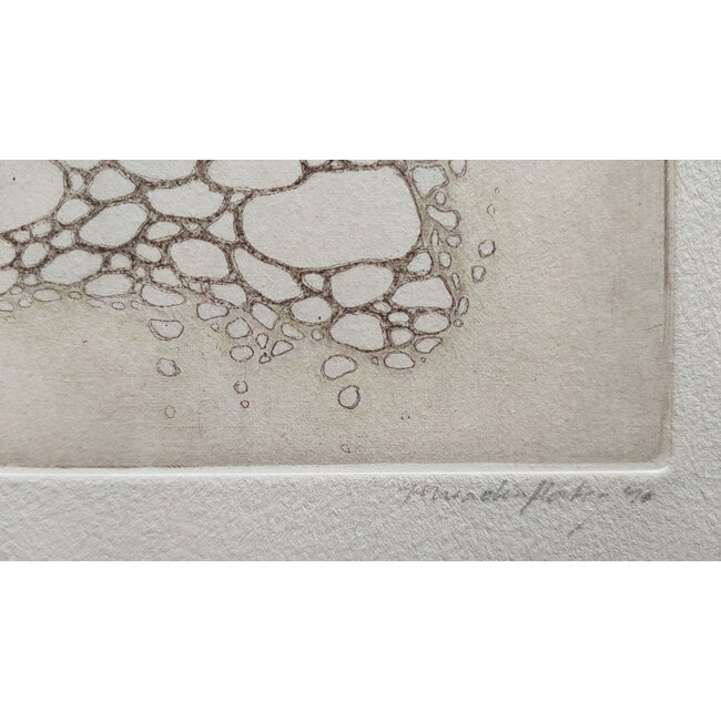 Hartog Mira den (1977) - Ets - Bubbeld