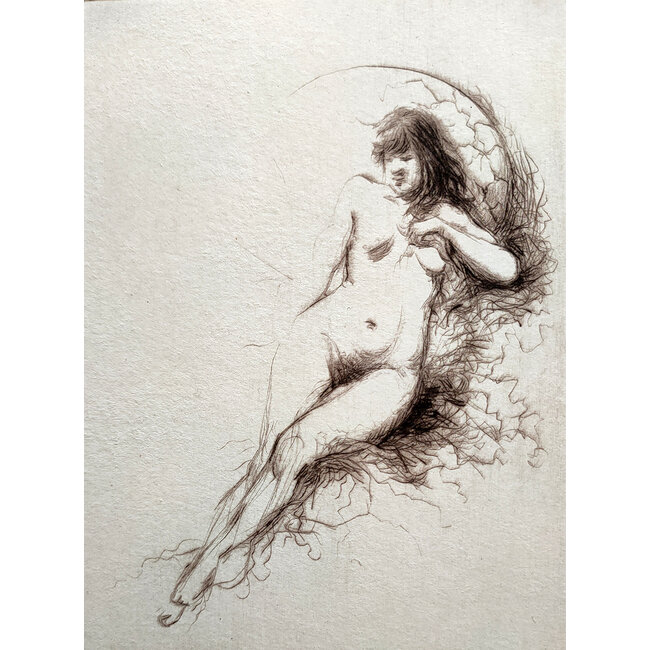 Hartog Mira den (1977) - Ets - Dilys genesteld