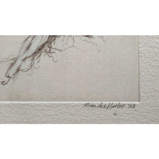 Hartog Mira den (1977) - Ets - Dilys genesteld