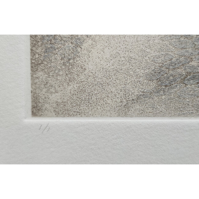 Hartog Mira den (1977) - Ets - "On solid grounds"