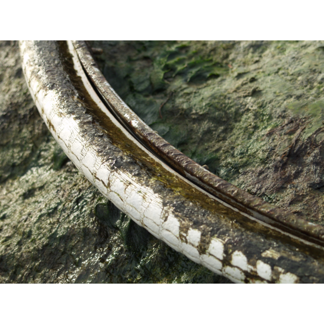 Graaf Henk van de - Foto - Fietswiel