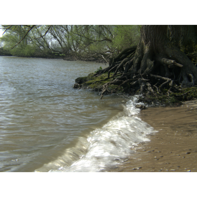 Graaf Henk van de - Foto -Het arkje van Goedhart