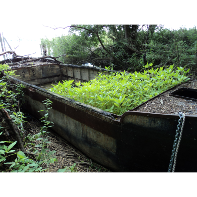 Graaf Henk van de - Foto -Het arkje van Goedhart