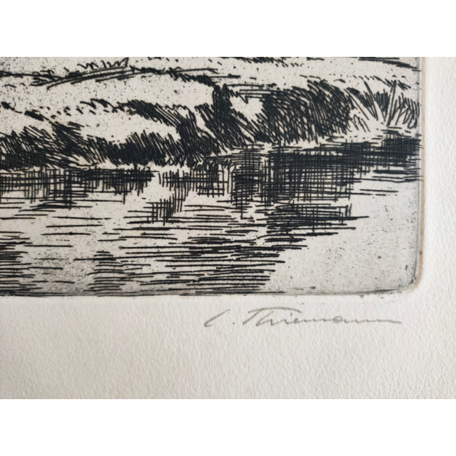 Thiemann Carl Theodor 1881-1966 - Ets molen Welgelegen Zwijndrecht