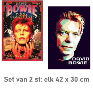 Allernieuwste.nl® SET van 2 st Canvas Schilderij - 2x Popster David Bowie * - PopKunst aan je Muur  - Kleur - 42 x 30 cm SET