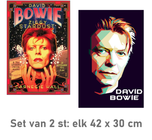 Allernieuwste.nl® SET van 2 st. Canvas Schilderij * 2x Popster David Bowie * - PopKunst aan je Muur  - Kleur - 42 x 30 cm SET