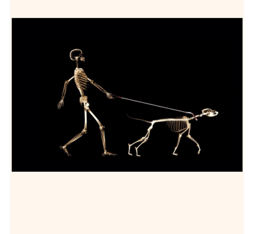 Allernieuwste.nl® Canvas Schilderij Wandelende Skeletten Mens en Hond - Poster - Kunst - 60 x 90 cm - Zwart Wit
