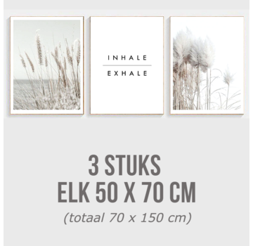 Allernieuwste.nl® Canvas Schilderij SET 3 stuks Natuur Inhale Exhale - Realistisch Modern Minimalisme - kleur - Set 3x 50x70 cm