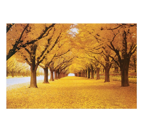 Allernieuwste.nl® Canvas Schilderij * Prachtige Herfst in het Bos * - Kunst aan je Muur - Romantisch Realistisch - Kleur - 70 x 100 cm