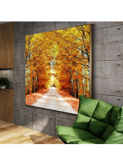 Allernieuwste.nl® Canvas Schilderij * Prachtig Herfst Bos * - Kunst aan je Muur - Romantisch Realistisch - Kleur - 60 x 60 cm